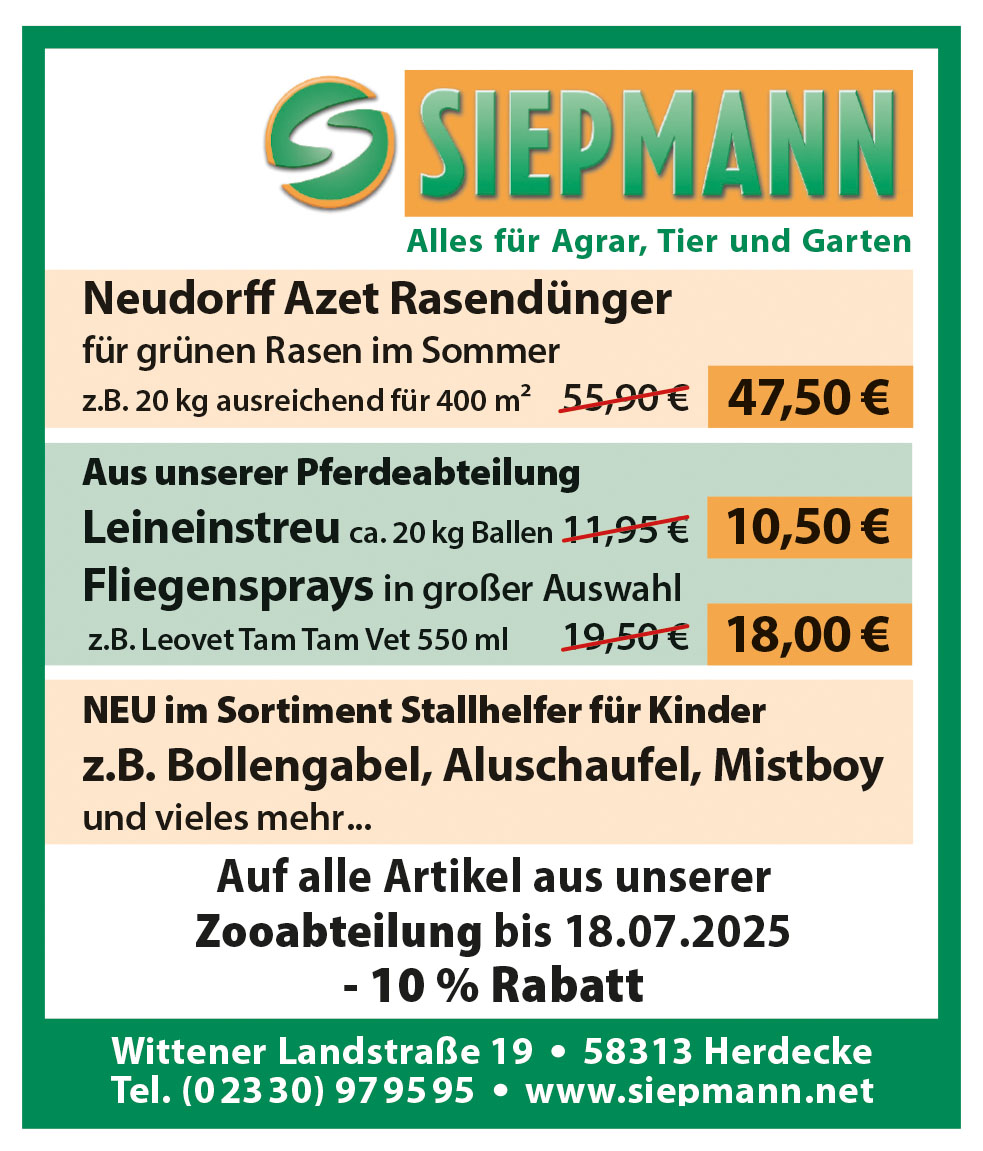 Artikel 